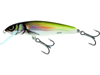 Salmo Minnow 07 F Holo Bleak