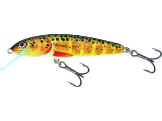 Salmo Minnow 07 F Trout