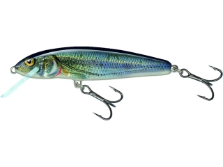 Salmo Minnow 07 F Spirlin