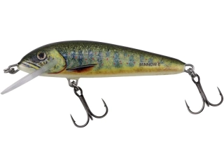 Salmo Minnow 07 F Lake Charr