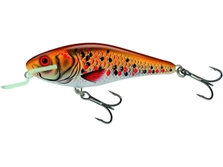 Salmo Executor 09 SR Holographic Golden Back