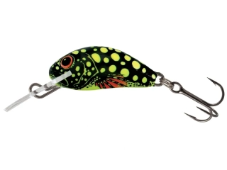 Salmo Hornet 02 S Beetle