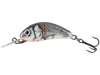 Salmo Hornet 03 F Holographic Grey Shiner