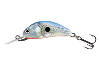 Salmo Hornet 03 F Silver Blue Shad