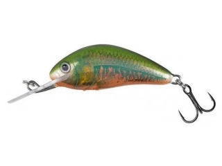 Salmo Hornet 03 F Holographic Oikawa