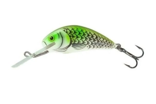 Salmo Hornet 03 F Olive Hot Spot