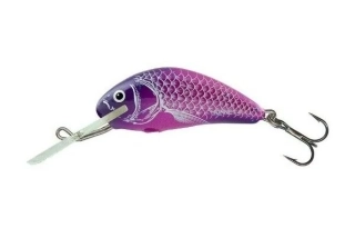 Salmo Hornet 03 F UV Purple