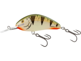Salmo Hornet 09 F Nordic Perch