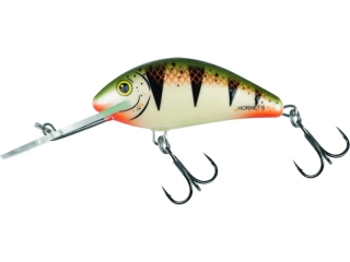 Salmo Hornet 06 F Nordic Perch