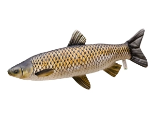 Polštář Gaby Amur 75 cm