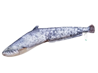 Polštář Gaby Sumec velký mini 62 cm