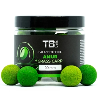 TB Baits Vyvážené Boilie Balanced + Atraktor Amur 100 g 24 mm