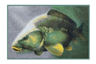 Rohož Delphin 3D Kapr_ 60x40cm