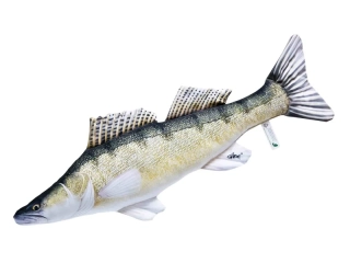 Polštář Gaby Candát obecný 75 cm