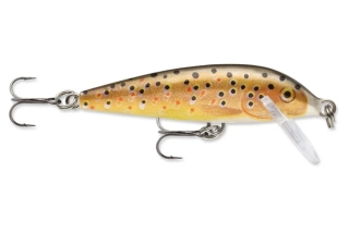 Rapala CountDown 07 TR