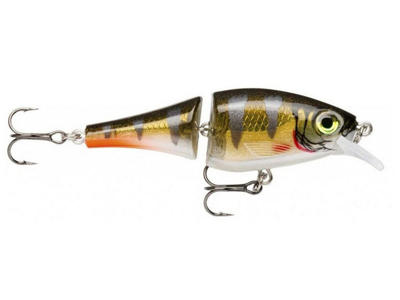 Rapala BX Jointed Shad 06 RFP - Redfin Perch